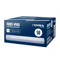 CRAIE DE BRIANCON 10X10MM BTE DE 50