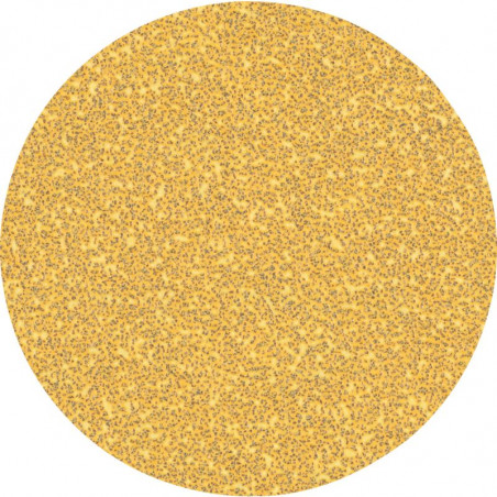 FEUILLE ABRASIVE BOSCH EXPERT C470 125 MM SANS TROU