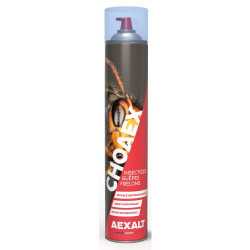 INSECTICIDE CHOAEX AEXALT ANTI GUÊPES ET FRELONS IC075