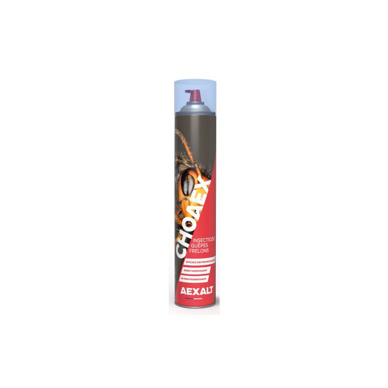 INSECTICIDE CHOAEX AEXALT ANTI GUÊPES ET FRELONS IC075