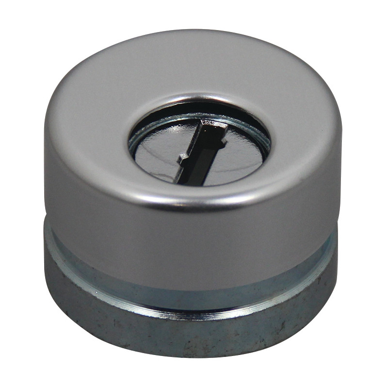 PROTECTEUR POUR CYLINDRE EUROPÉEN