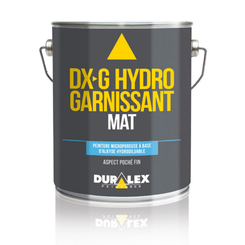 PEINTURE ALKYDE HYDRODILUABLE GARNISSANT MAT DX G 3 L