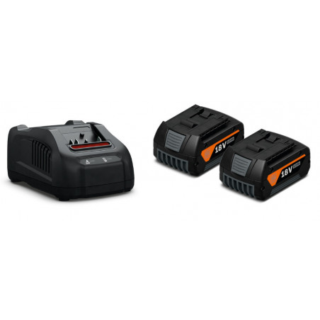 PACK ENERGIE 18V FEIN 2 BATTERIES GBA 5AH AMPSHARE / CHARGEUR