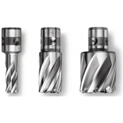 FRAISE HSS NOVA D.12 L.25 AVEC EMMANCHEMENT QUICKIN FEIN