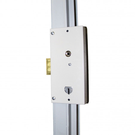 SERRURE MULTIPOINTS EN APPLIQUE SANS SOUCI FICHET AXE 60 MM