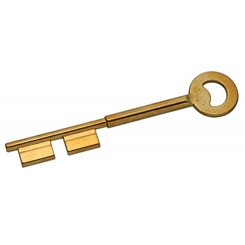 CLÉ BRUTE TYPE FICHET DOUBLE PANNETON MODÈLE HERACLES FT12