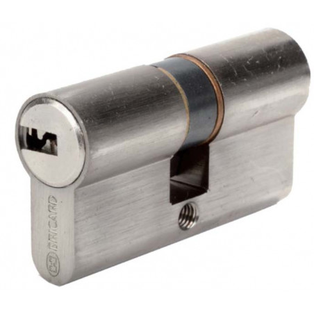 CYLINDRE DE SÉCURITÉ SERIAL BRICARD 30X30 MM – MODÈLE 4330070