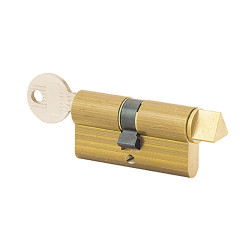 CYLINDRE EUROPÉEN À CLÉ TRIANGULAIRE FTH THIRARD EDF