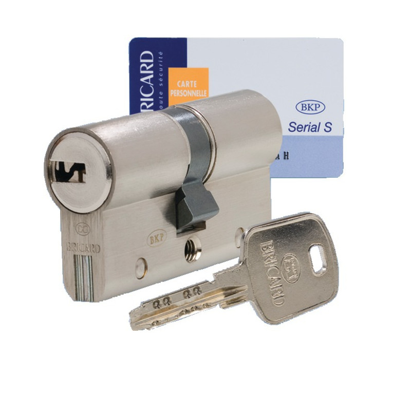 CYLINDRE EUROPÉEN SERIAL S BRICARD NICKELÉ