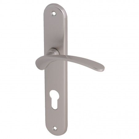 ENSEMBLE SUR PLAQUE MORGAN HERACLES