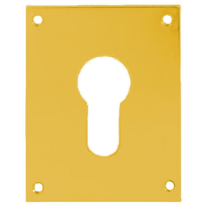 PLAQUE DE PROPRETÉ EN LAITON POLI POUR CLÉ I OU L HERACLES