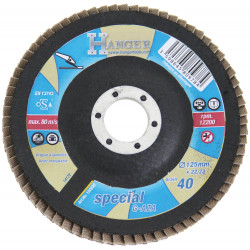 DISQUE À LAMELLES BOMBÉ ZIRCONIUM 125 MM