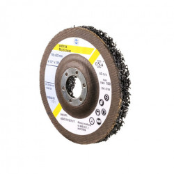 DISQUE MULTICLEAN WEBRAX SUR PLATEAU EN FIBRE HERMES