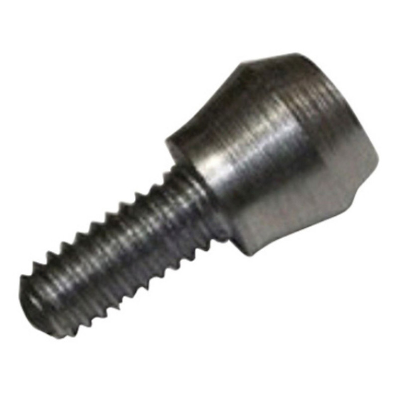 VIS DE PARECLOSE JEAN JOURJON - FIXATION SÉCURISÉE