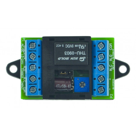 MODULE DE TEMPORISATION UNIVERSEL IZYX TM200 12/24V AC/DC AVEC COMMANDE NO/NF