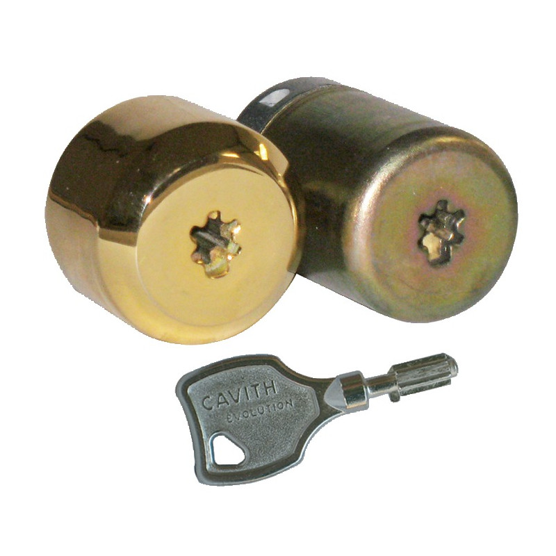 CYLINDRE CAVITH ISEO 29 MM LAITON POLI