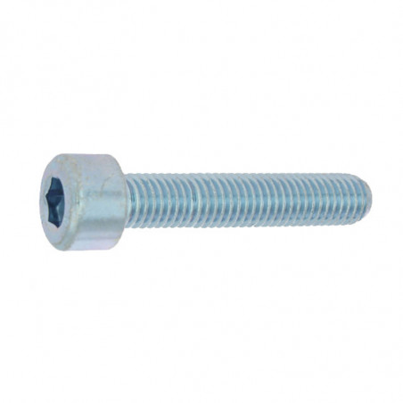 VIS MÉTAUX ZINGUÉE BLANCHE TÊTE CYLINDRIQUE HEXAGONALE CREUSE CLASSE 8.8 DIN 912