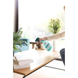 DÉSINFECTANT MULTI-SURFACES SANYTOL PARFUM EUCALYPTUS