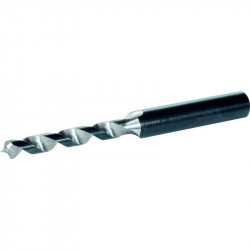 FORET ÉTAGÉ TERRASSE - SPAX - 5009409873005