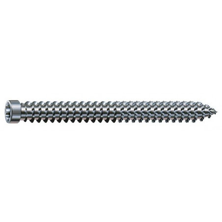 VIS DE FIXATION CHÂSSIS SPAX À TÊTE CYLINDRIQUE