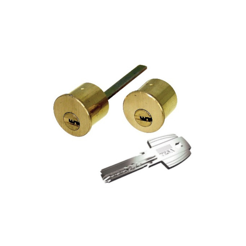 JEU DE CYLINDRES T60 POUR SERRURES TS3 ET TS5