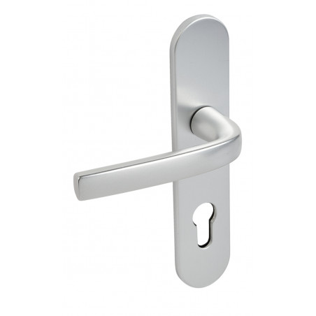 ENSEMBLE SUR PLAQUES LOGIO VACHETTE EA70 GRANDES PLAQUES