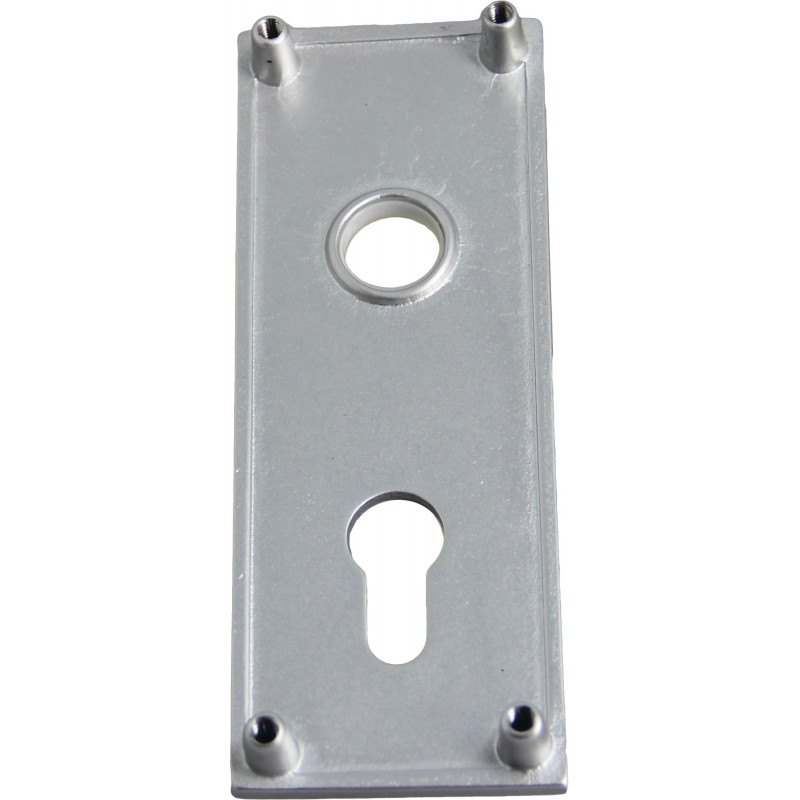 PLAQUE DE PROPRETÉ WSS POUR SERRURE DE PORTE DE GARAGE, MODÈLE 16570000114