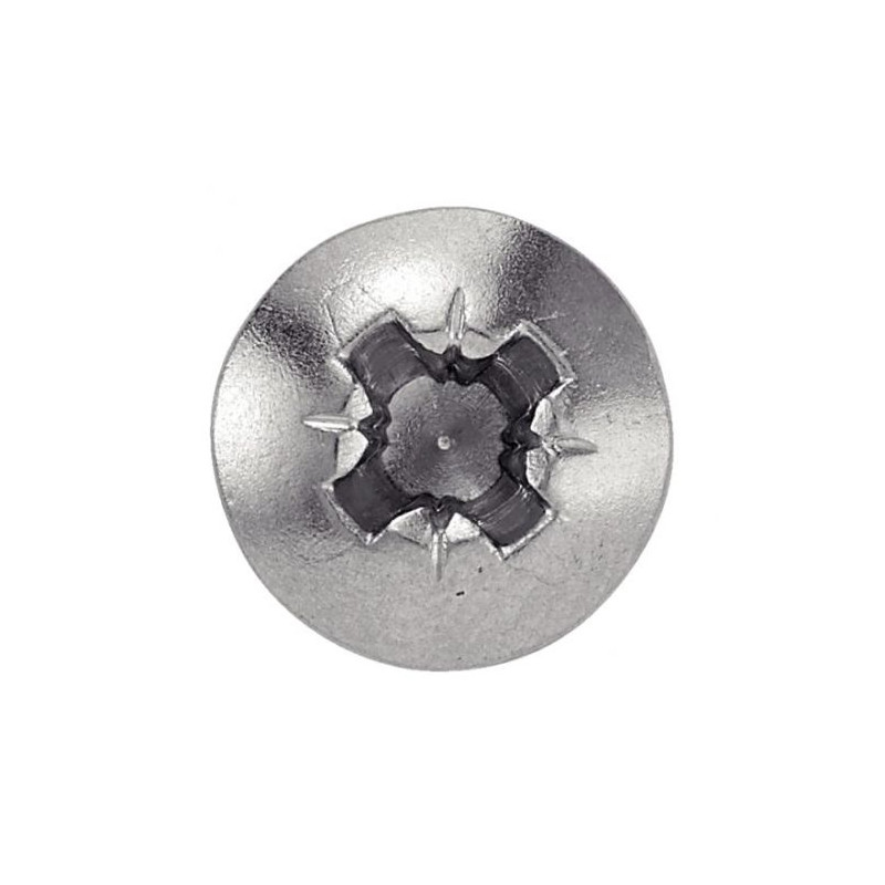 VIS A TOLE CYLINDRIQUE LARGE POZIDRIVE BOITE 200