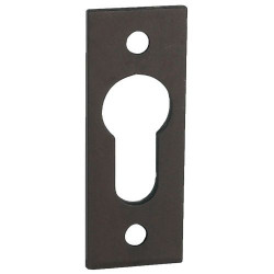 ENTRÉE À VISSER CLÉ I ARGENT ENTRÉE À VISSER CLÉ I ARGENT