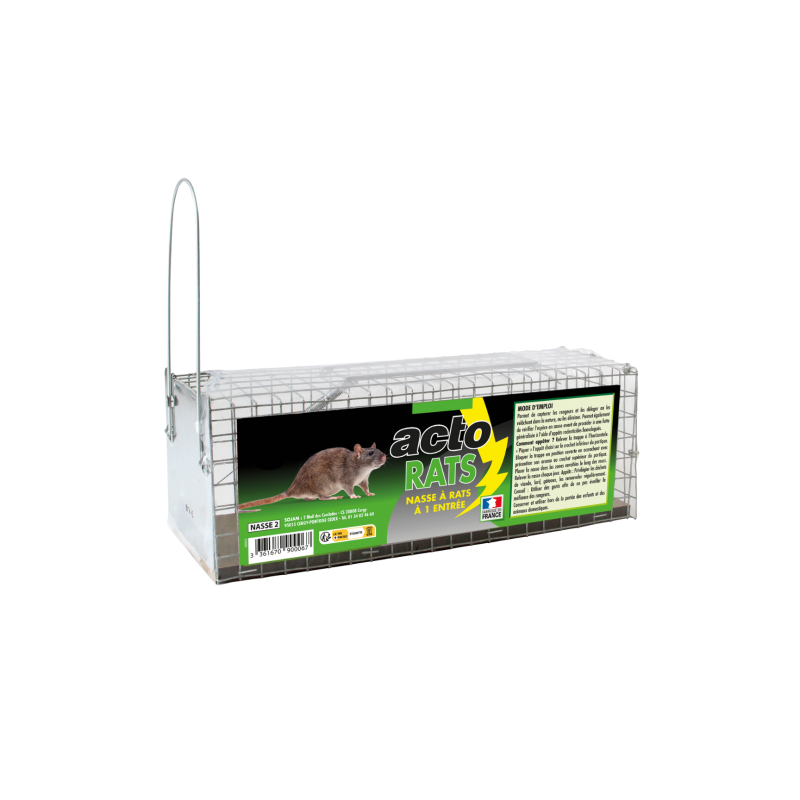 NASSE A RATS 28CM