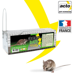 NASSE A RATS 28CM