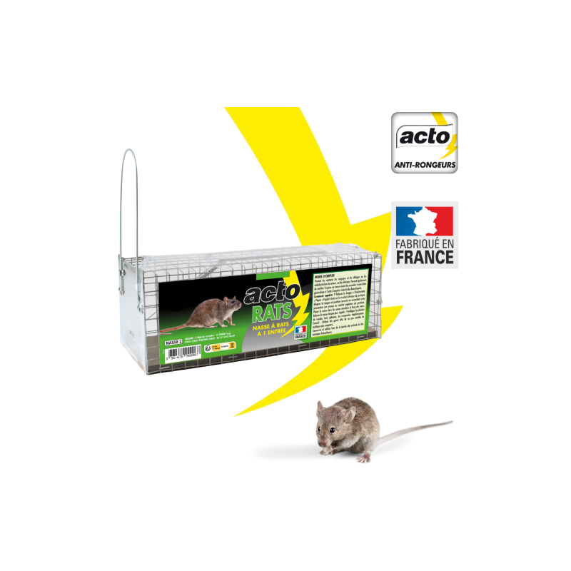 NASSE A RATS 28CM