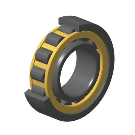 ROULEMENT A ROULEAUX CYLINDRIQUES NU313EG1C3