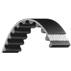 COURROIE 8M-2504-020C