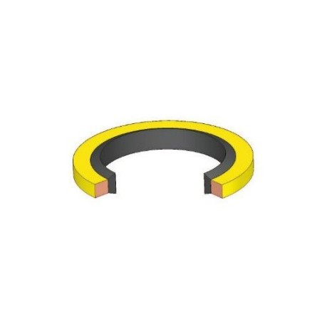 BAGUE BS VITON 27.00X34.99X2.47 C26.32FPM REF BSV087