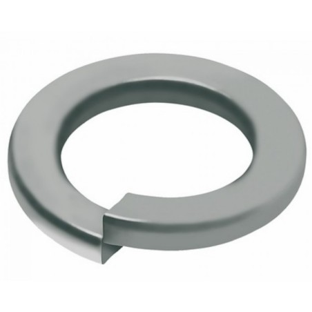 RONDELLE GROWER INOX A1