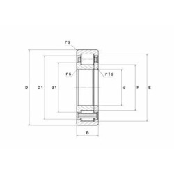 ROULEMENT A ROULEAUX CYLINDRIQUES NUP307EG15