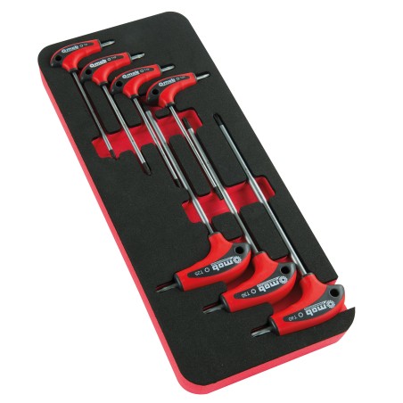MODULE MOUSSE 7 CLES MALES EN T TORX