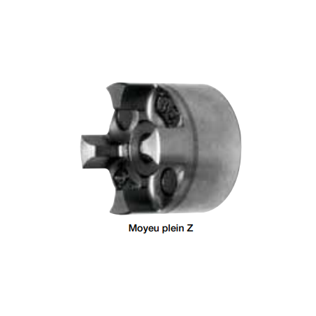 PLATEAU FONTE ACPG MOYEU BZ