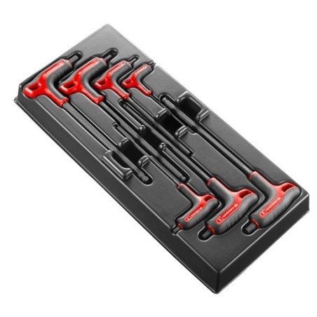 MODULE THERMO 7 CLÉS MÂLES POIGNÉES EN "T" 6 PANS TÊTE SPHÉRIQUE REF MOD.84TZSAPB