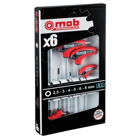 COFFRET 6 CLES MALES HEXAGONALES EN T