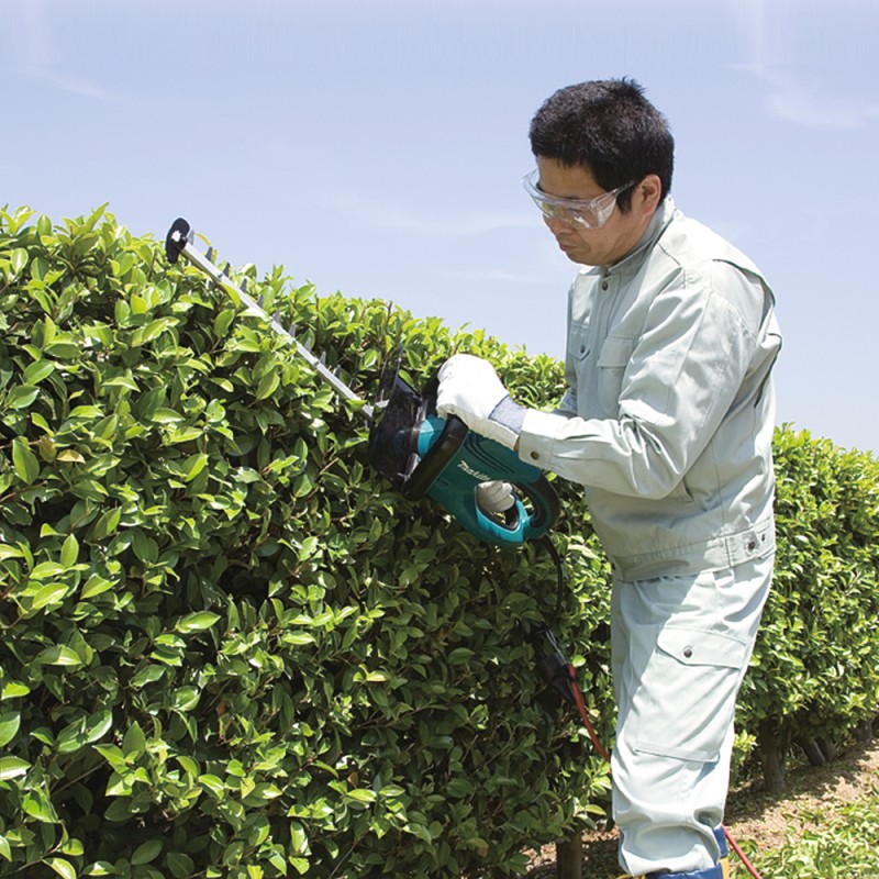 TAILLE-HAIE SEMI-PRO 220 V 550 W 65 CM (KIT D'ACCESSOIRES)