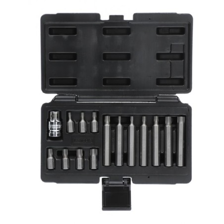 COFFRET DE 15 EMBOUTS DE VISSAGE TORX 10mm T20 À T55