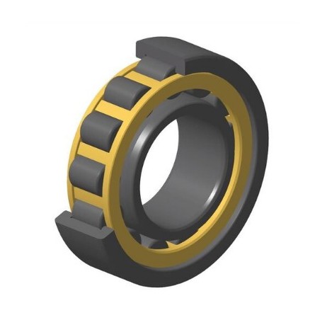 ROULEMENT A ROULEAUX CYLINDRIQUES NJ309EG1