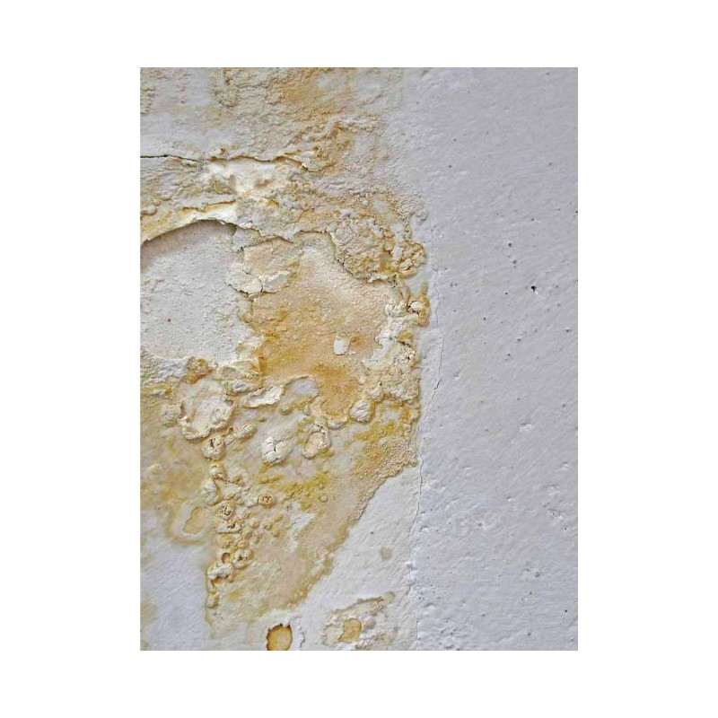 DALEP ANTI SALPETRE BIDON DE 20L TRAITEMENT PRET A L'EMPLOI