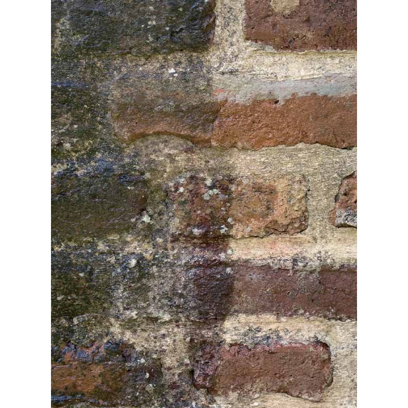 DALEP NETTOYANT RAPIDE NET EXPRESS PRET A L' EMPLOI BIDON DE 20L