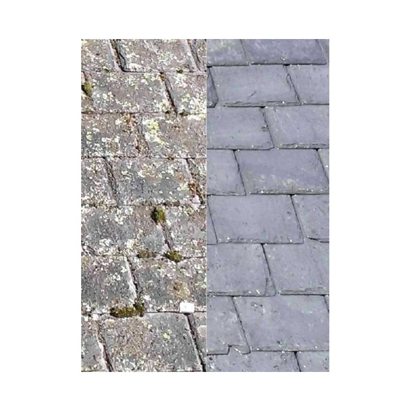 DALEP FONGICIDE DALEP PE PRÊT A L'EMPLOI BIDON 30L