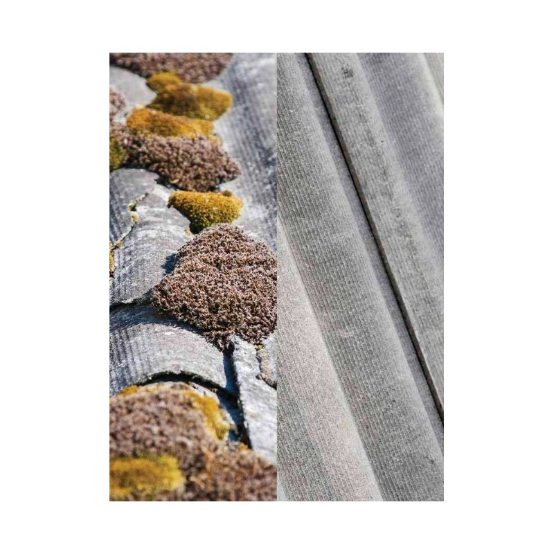 DALEP FONGICIDE HYDROFUGEANT DALEP HF BIDON 20L