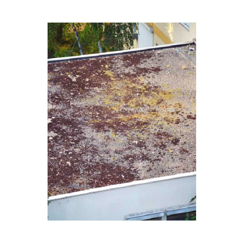 DALEP FONGICIDE DALEP TT TOITURES-TERRASSES PRÊT A L'EMPLOI BIDON 20L