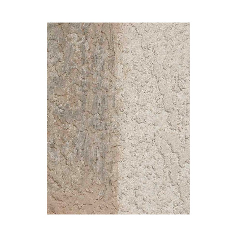 DALEP NETTOYANT CONCENTRÉ NET 1 BIDON 20L